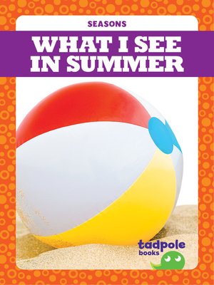 cover image of What I See in Summer